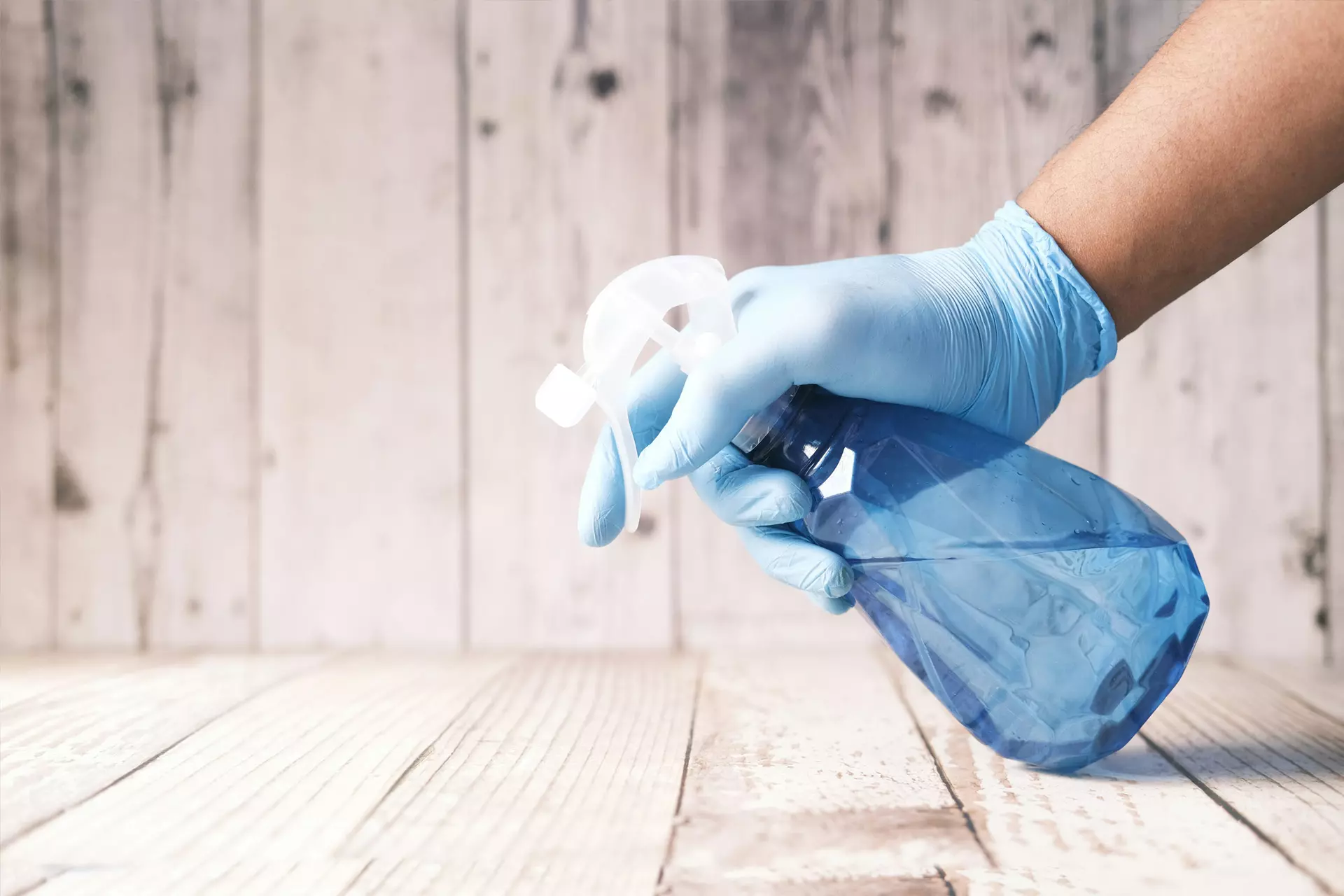 Professional cleaning service in action